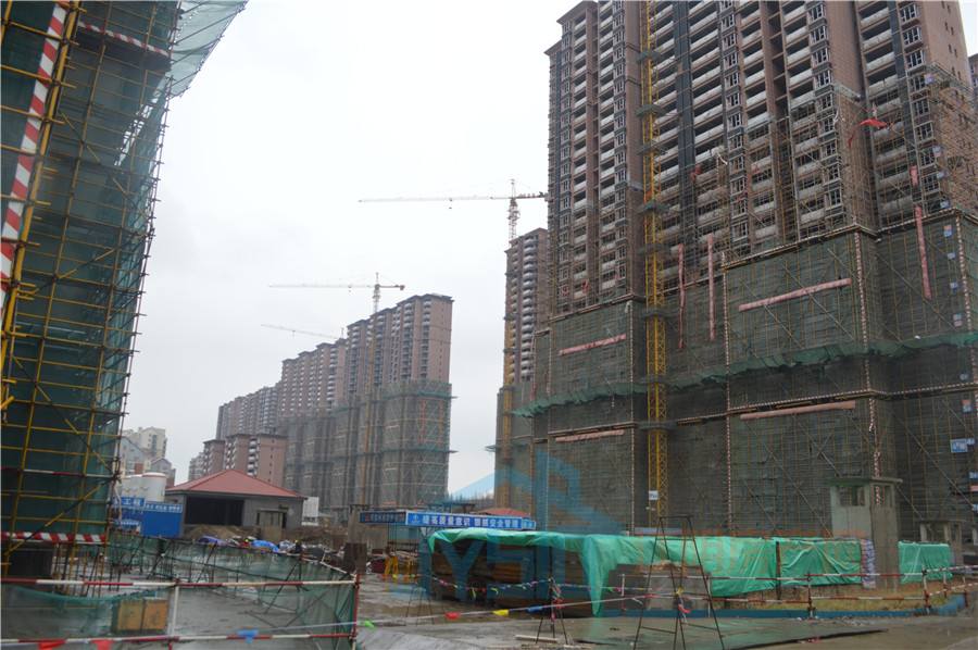 山绿工程 阳光集团蔚蓝滨江项目