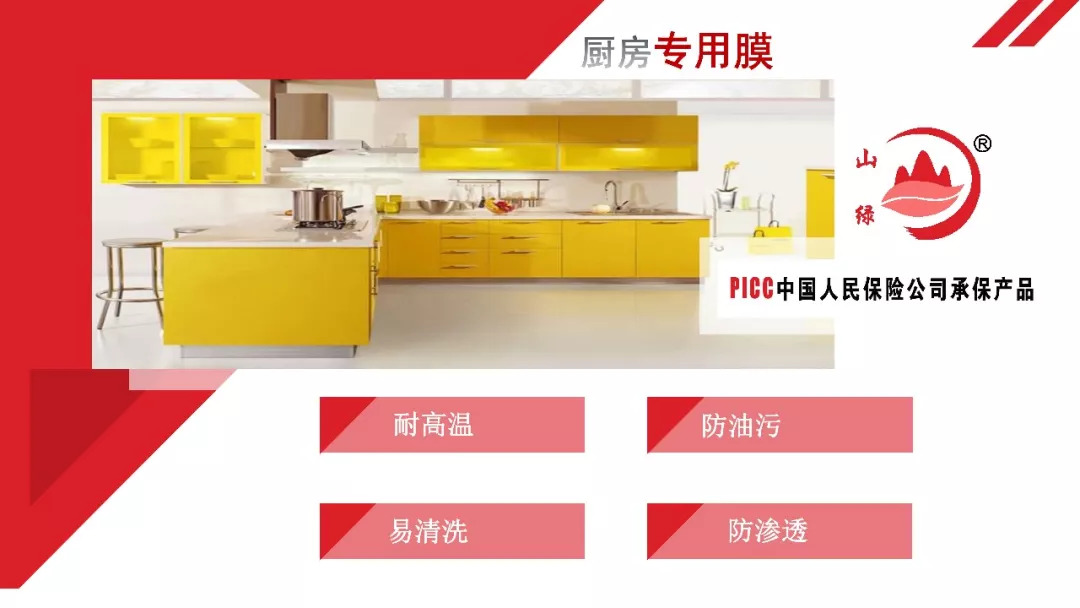 纳米离子膜-耐高温膜、灶台膜